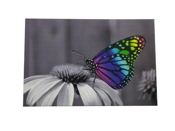 Canvas Led Valotaulu Butterfly