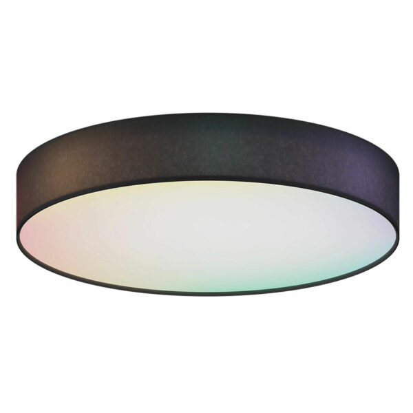 Sessak Älyplafondi kangas RGBW 30cm