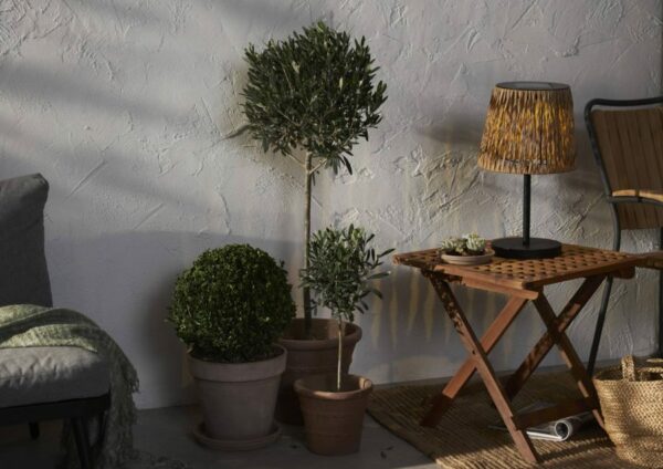 Aurinkokennovalaisin Cesta pöytävalaisin 48 cm - Image 3