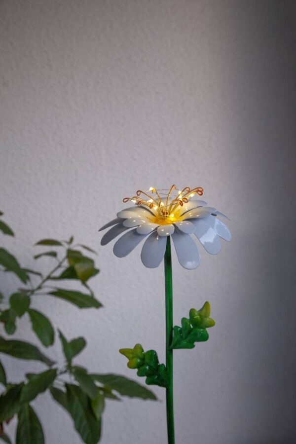 Aurinkokennovalaisin Daisy 77cm - Image 2