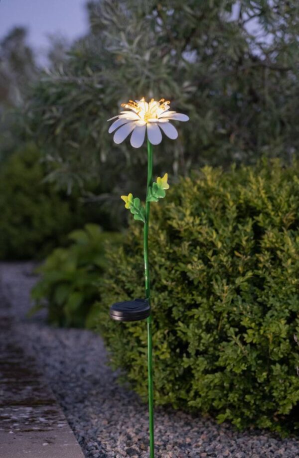 Aurinkokennovalaisin Daisy 77cm - Image 3