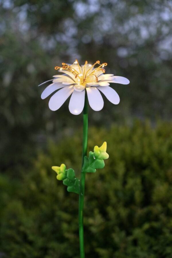 Aurinkokennovalaisin Daisy 77cm - Image 4