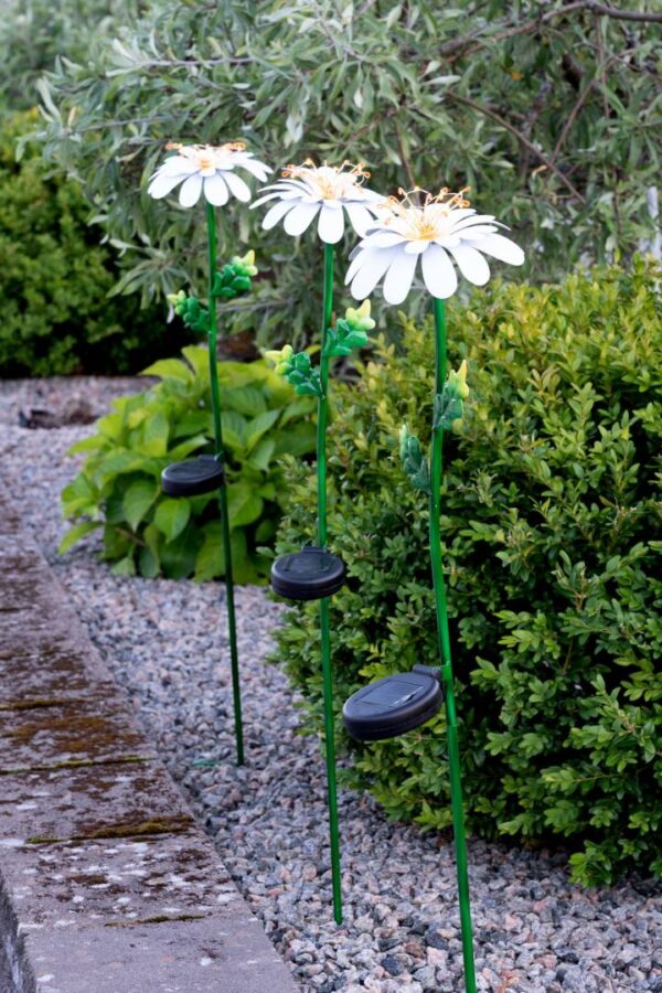 Aurinkokennovalaisin Daisy 77cm - Image 5