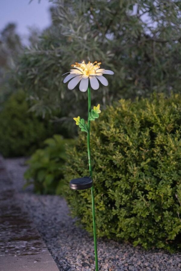 Aurinkokennovalaisin Daisy 77cm - Image 6